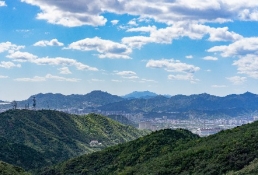 天猫公布春苗计划 SHEIN计划赋能独立设计师